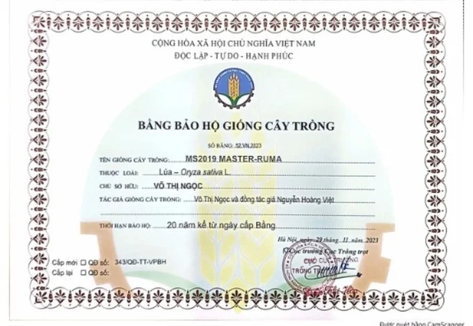 Cục Trồng trọt cấp bằng bảo hộ giống lúa MS2019 Master - Ruma